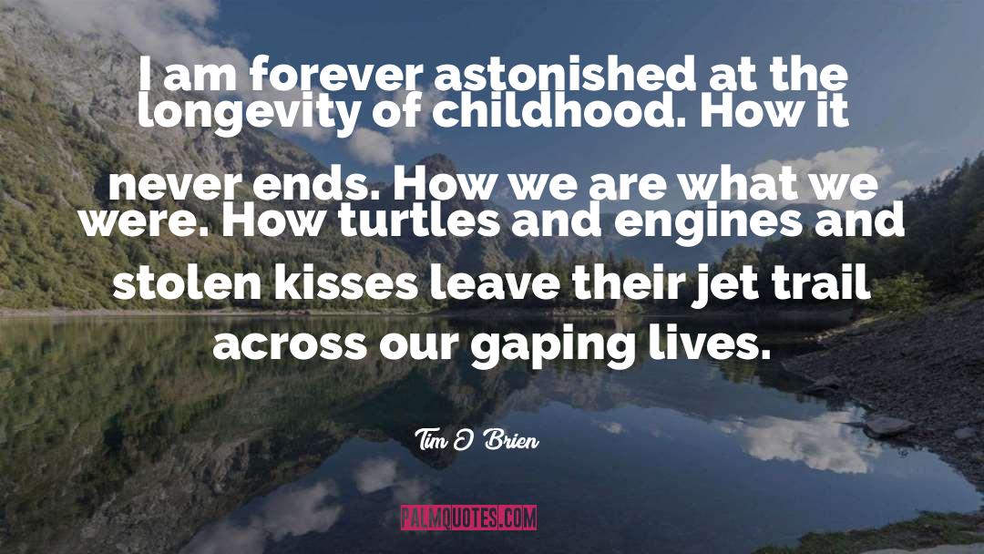 Kisses Across Distance quotes by Tim O'Brien