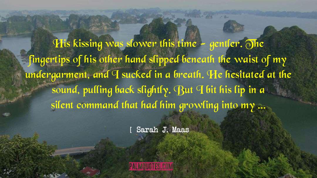 Kissing Coffins quotes by Sarah J. Maas