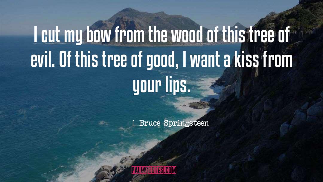 Kissing Freud quotes by Bruce Springsteen