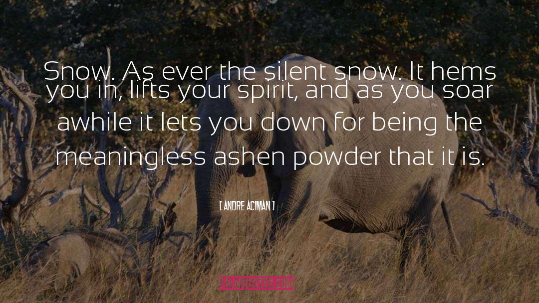 Kissing In The Snow quotes by Andre Aciman