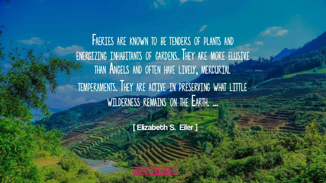 Kit S Wilderness quotes by Elizabeth S.  Eiler
