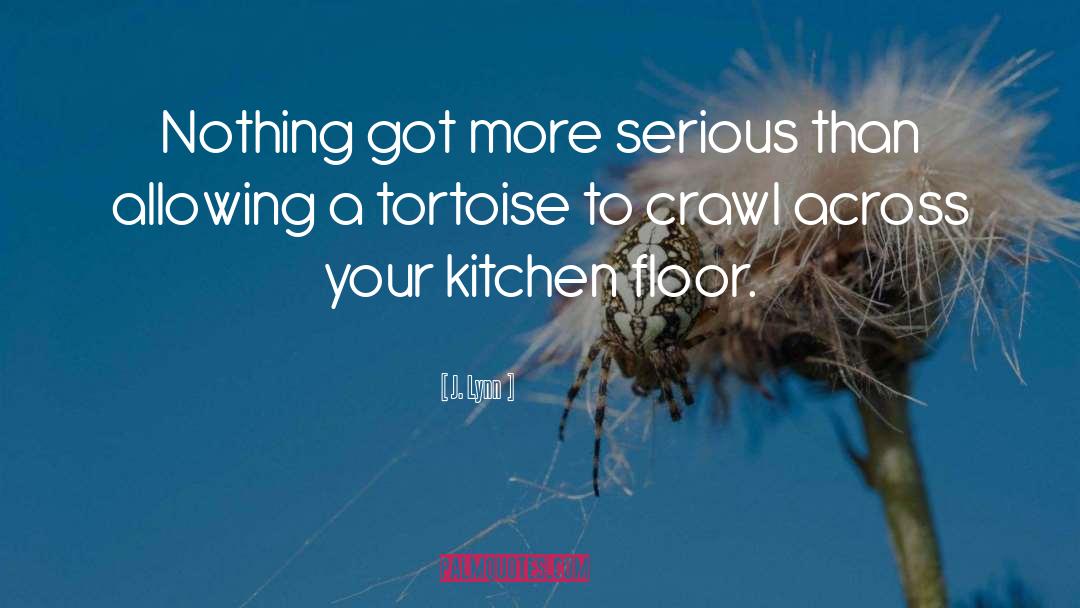 Kitchen quotes by J. Lynn