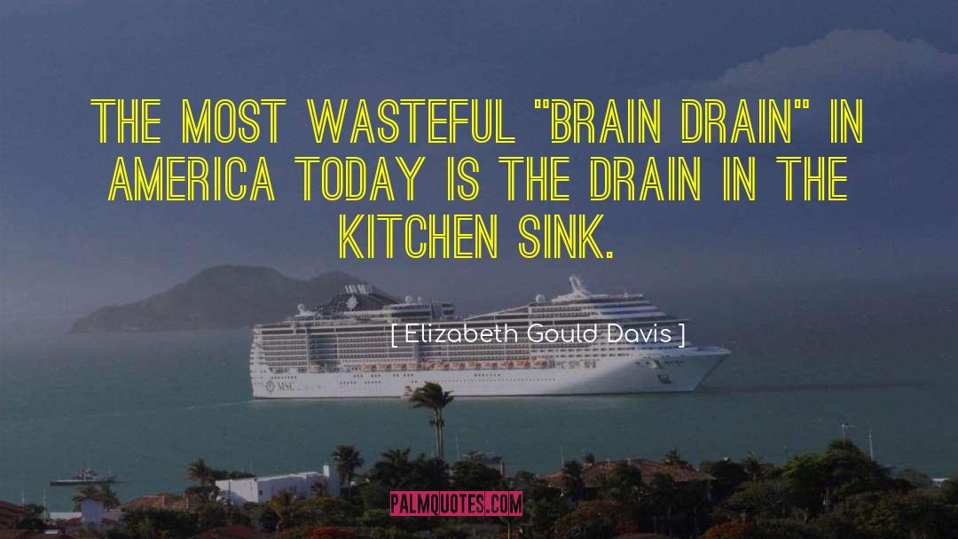 Kitchen Sink quotes by Elizabeth Gould Davis