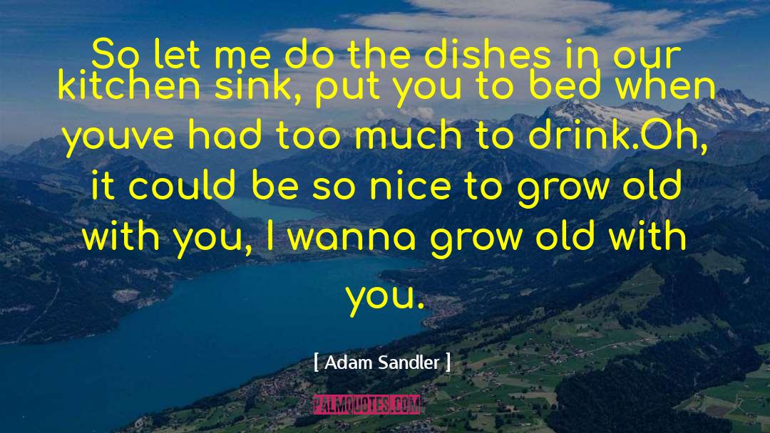 Kitchen Sink quotes by Adam Sandler