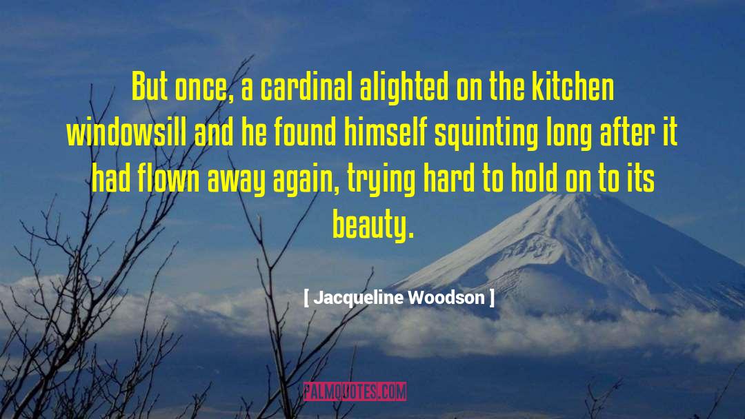 Kitchen Sinks quotes by Jacqueline Woodson