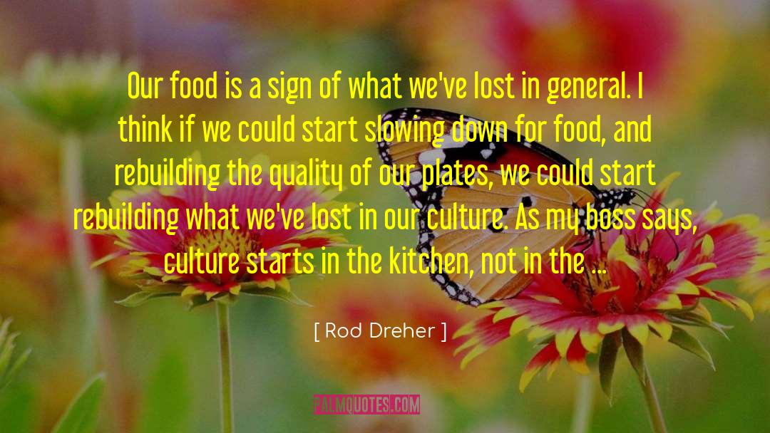 Kitchen Utensils quotes by Rod Dreher