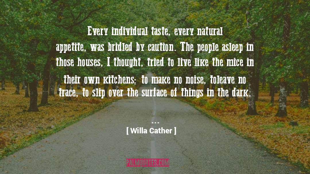 Kitchens quotes by Willa Cather