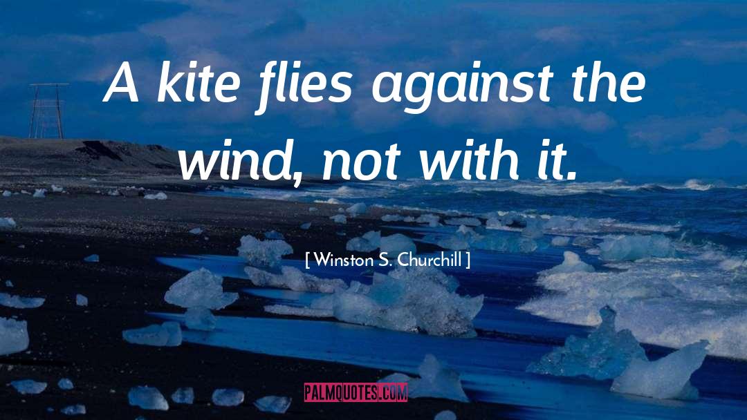 Kite quotes by Winston S. Churchill