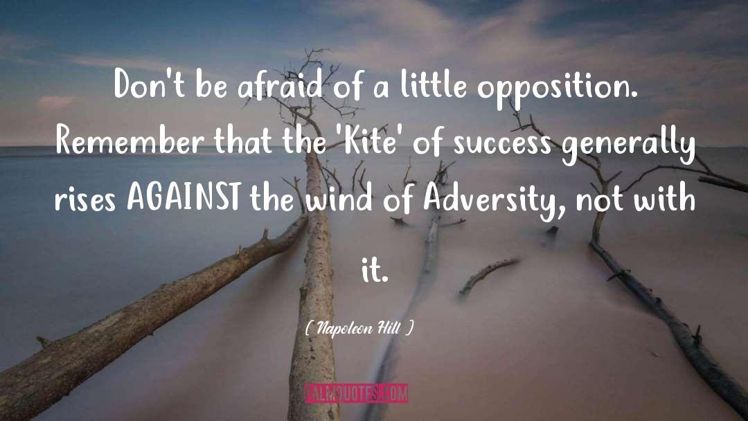 Kite quotes by Napoleon Hill