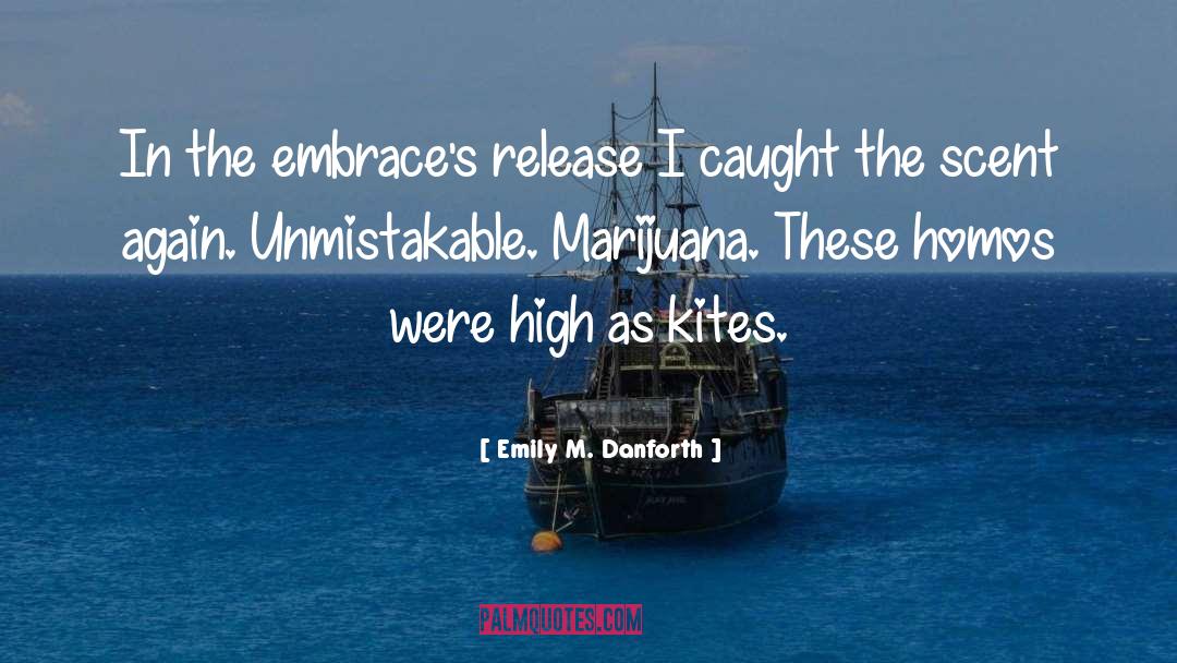 Kites quotes by Emily M. Danforth