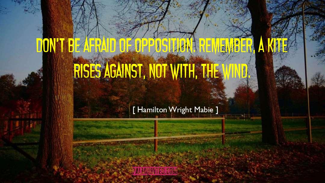 Kites quotes by Hamilton Wright Mabie