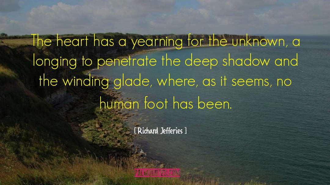 Kitston Glade quotes by Richard Jefferies