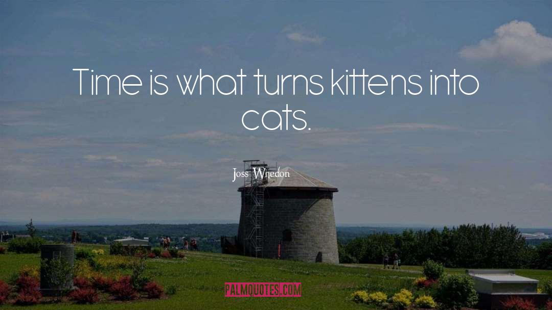 Kitten quotes by Joss Whedon