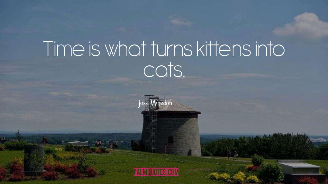 Kitten Tweedy quotes by Joss Whedon