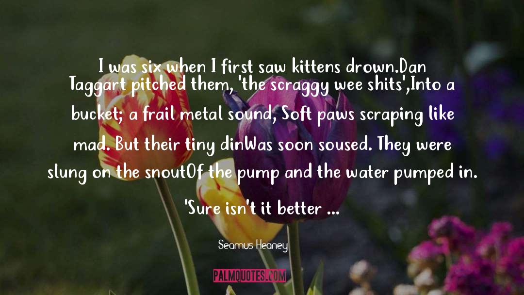 Kittens quotes by Seamus Heaney