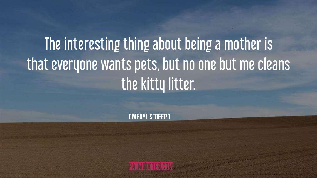 Kitties quotes by Meryl Streep