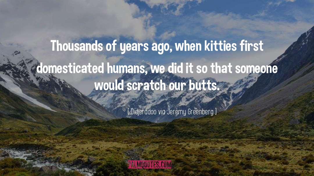 Kitties quotes by Didjeradoo Via Jeremy Greenberg