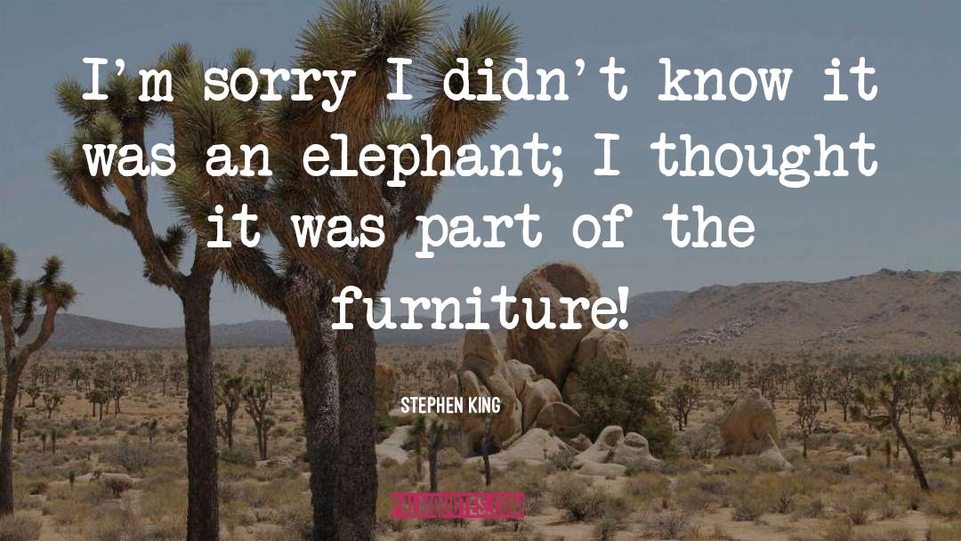 Kittles Furniture quotes by Stephen King