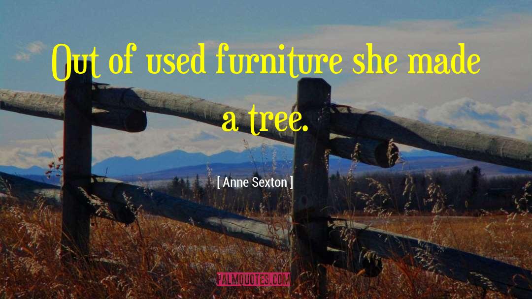 Kittles Furniture quotes by Anne Sexton