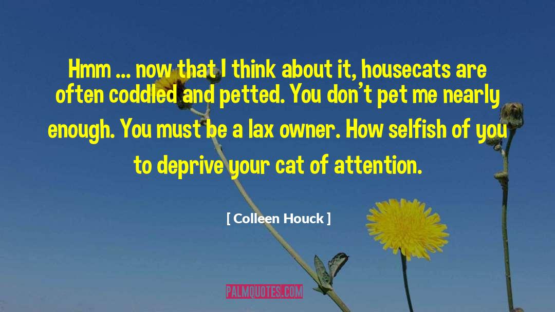 Kitty Cat quotes by Colleen Houck