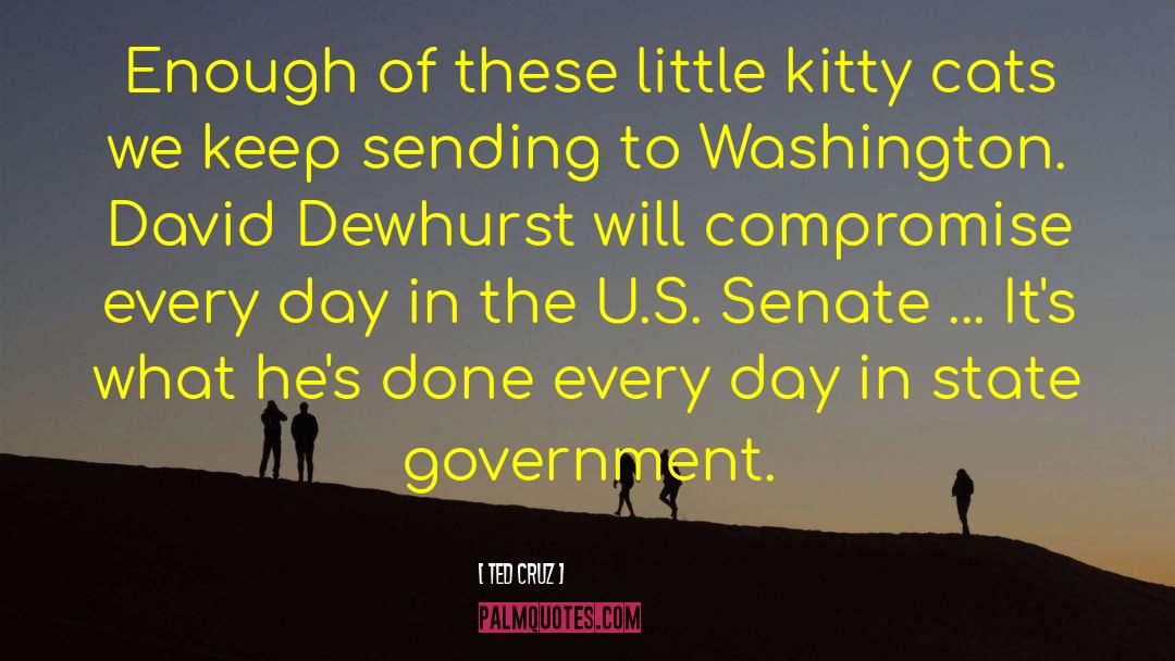 Kitty Litter quotes by Ted Cruz