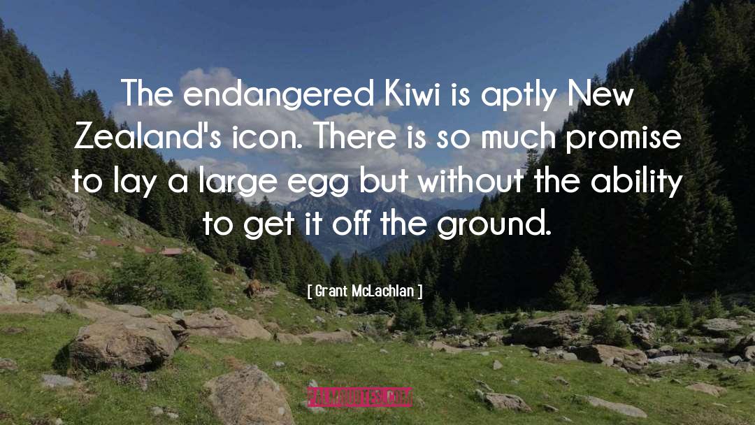 Kiwi quotes by Grant McLachlan