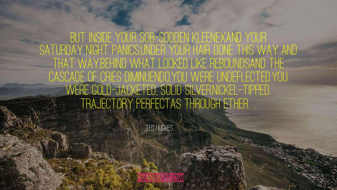 Kleenex quotes by Ted Hughes