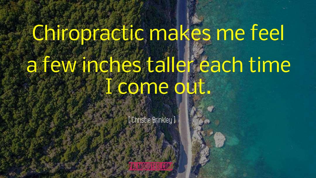 Klippert Chiropractic Montrose quotes by Christie Brinkley