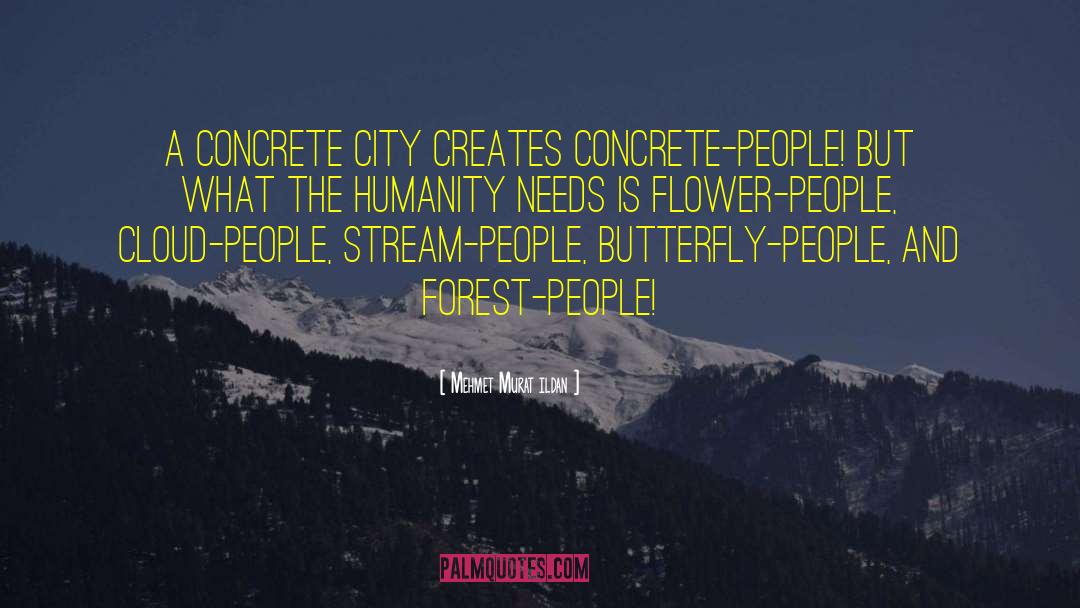 Kmak Concrete quotes by Mehmet Murat Ildan