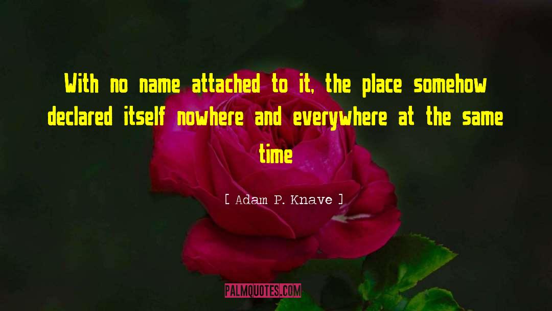 Knave quotes by Adam P. Knave