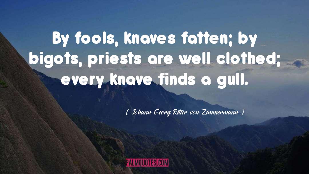 Knave quotes by Johann Georg Ritter Von Zimmermann