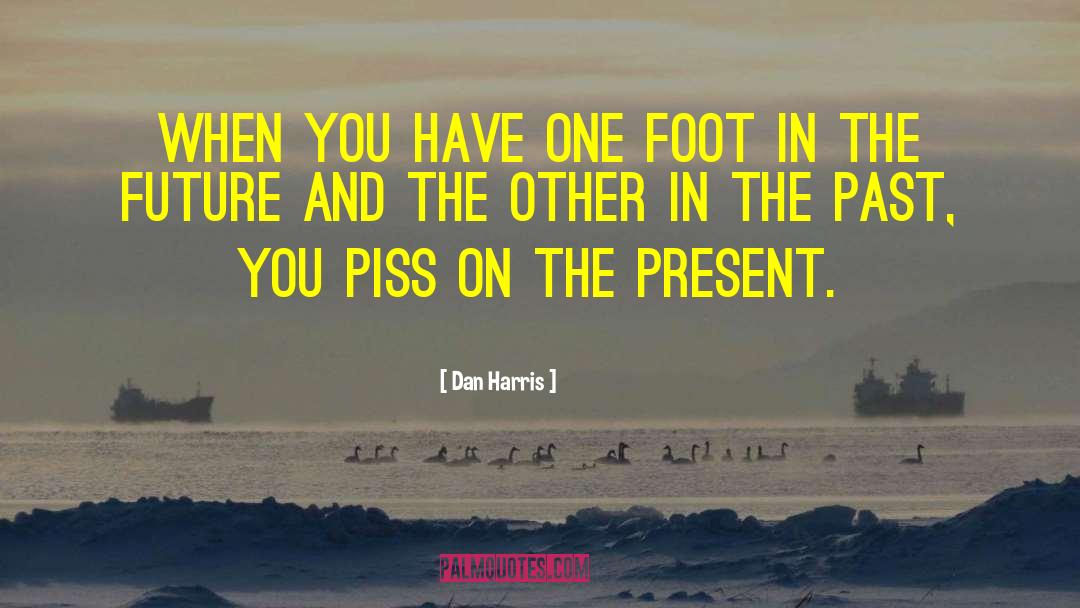 Knee And Foot quotes by Dan Harris
