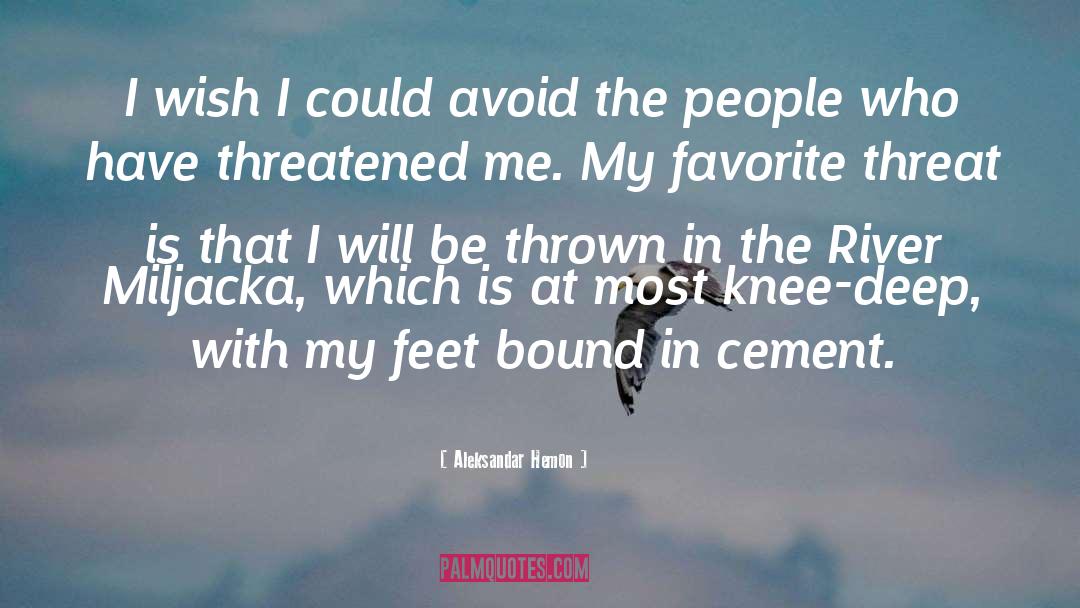 Knee quotes by Aleksandar Hemon