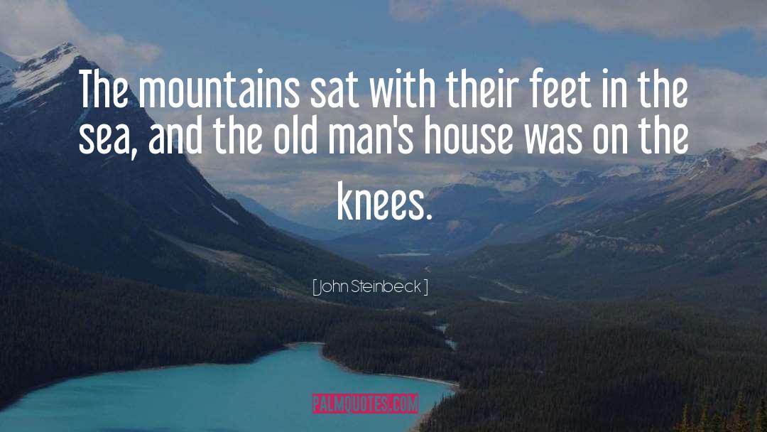 Knees quotes by John Steinbeck