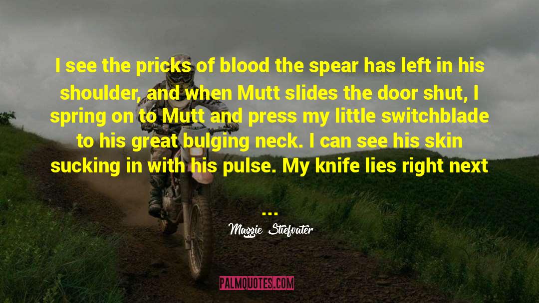 Knife Fighter quotes by Maggie Stiefvater