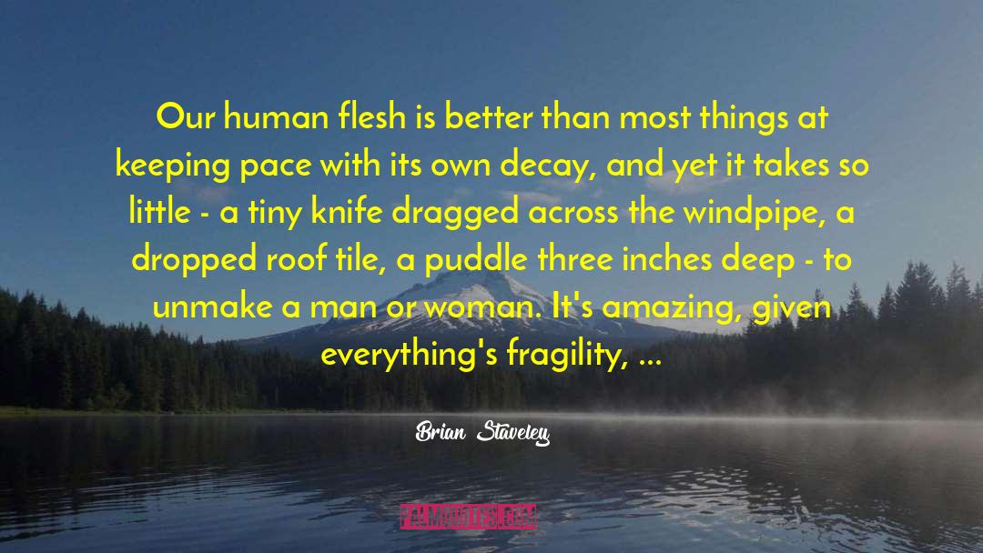 Knife Fighter quotes by Brian Staveley