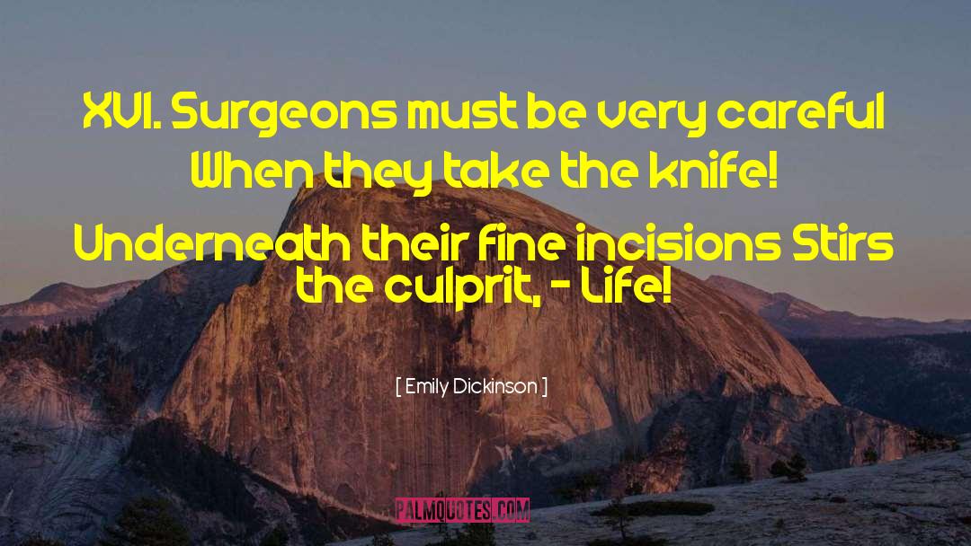 Knife Fights quotes by Emily Dickinson