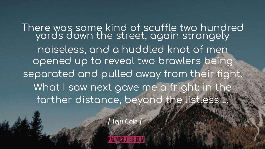 Knight Cole quotes by Teju Cole
