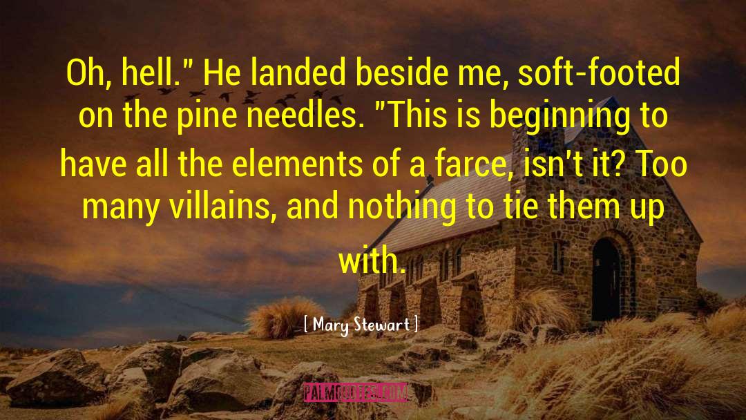 Knitting Needles quotes by Mary Stewart