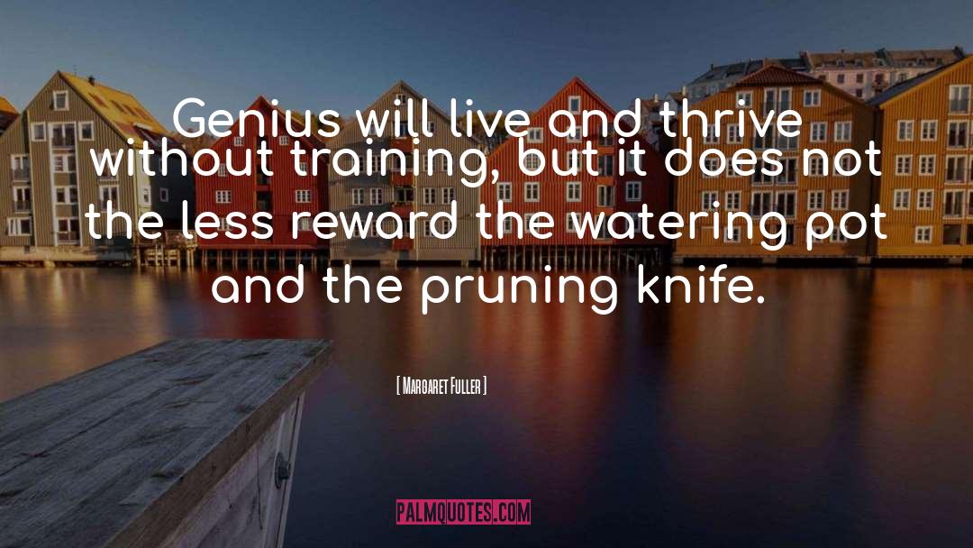 Knives quotes by Margaret Fuller
