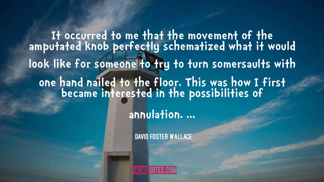 Knob quotes by David Foster Wallace