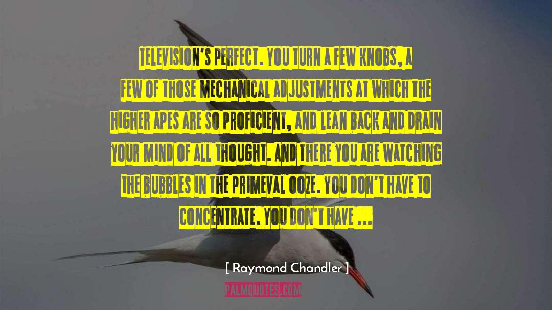 Knobs quotes by Raymond Chandler