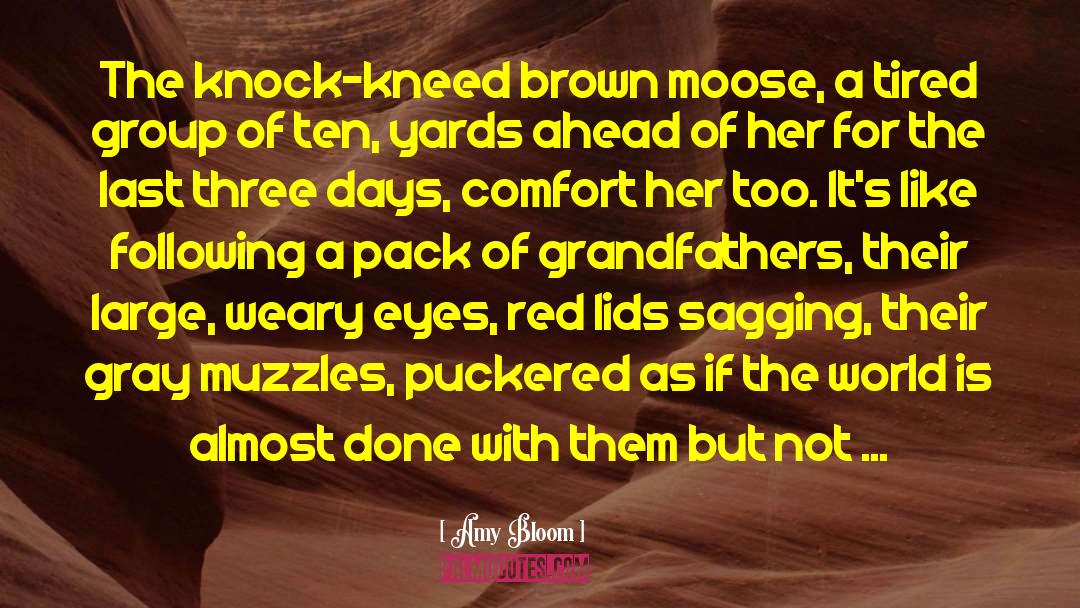 Knock Kneed quotes by Amy Bloom