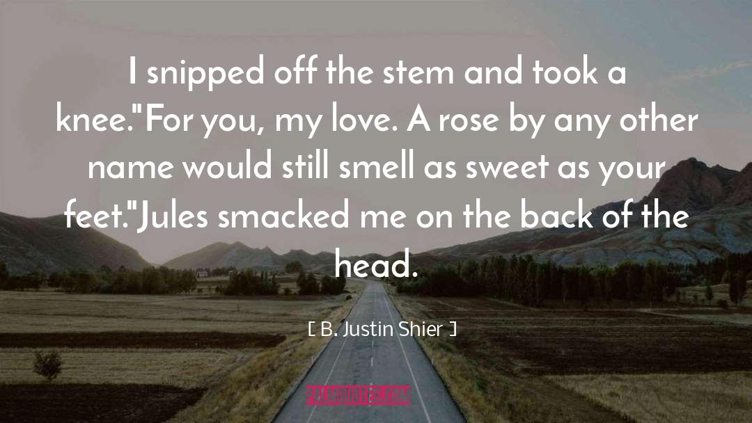 Knock You Off Your Feet quotes by B. Justin Shier