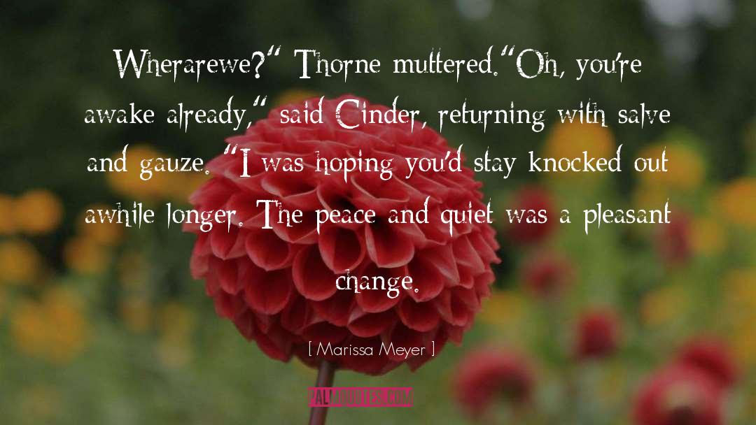 Knocked Out quotes by Marissa Meyer