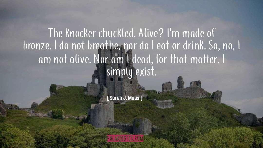 Knocker Rig quotes by Sarah J. Maas