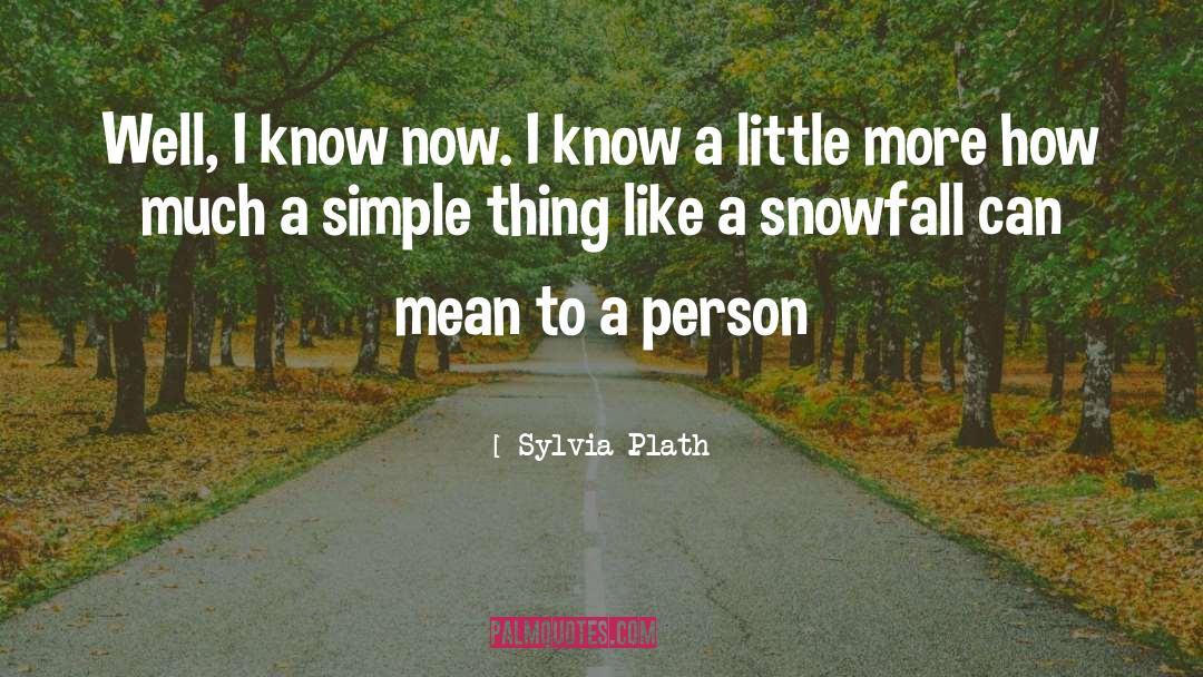 Know A Little quotes by Sylvia Plath