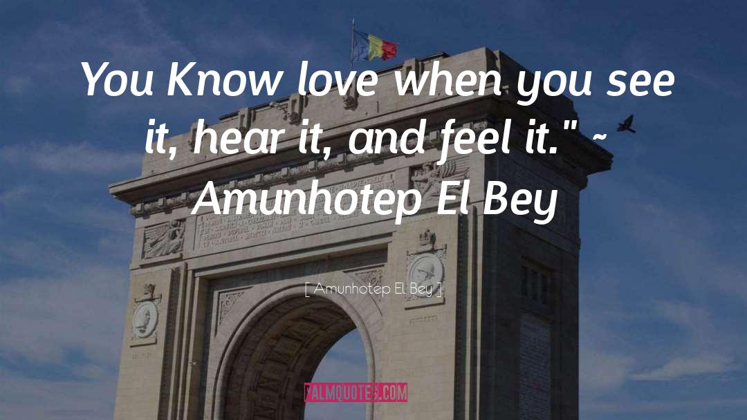 Know Love quotes by Amunhotep El Bey