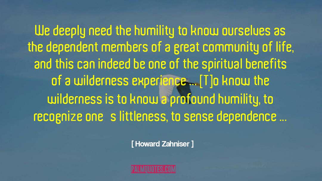 Know Ourselves quotes by Howard Zahniser