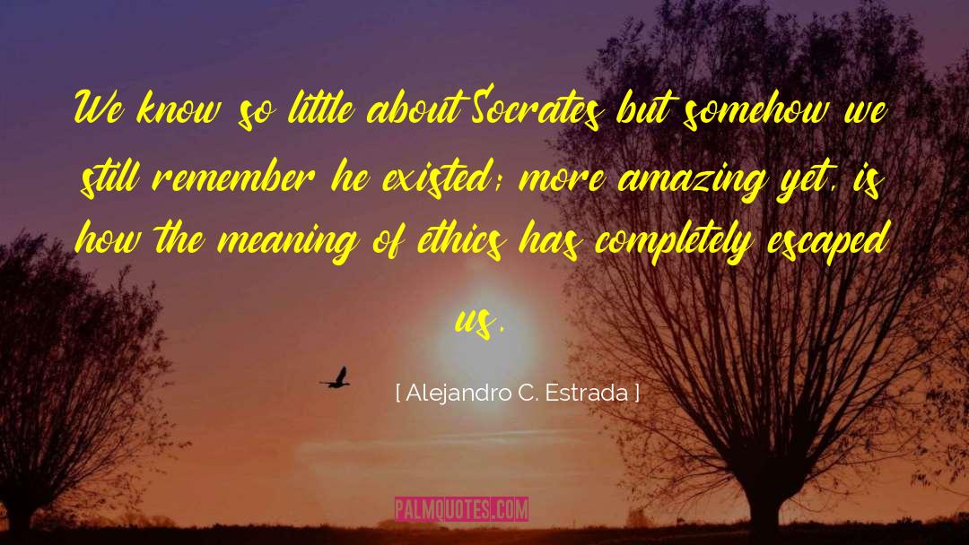 Know So Little quotes by Alejandro C. Estrada
